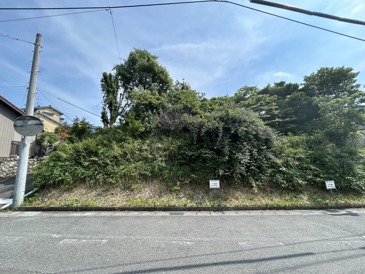 土地写真