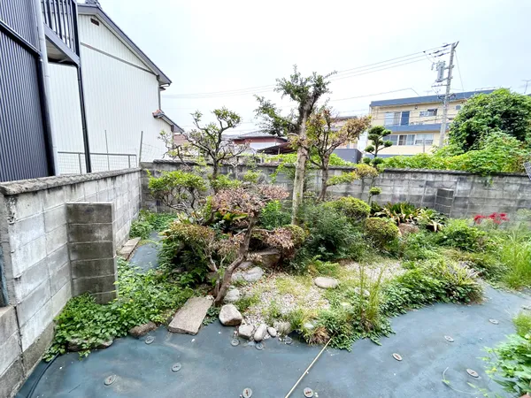 庭