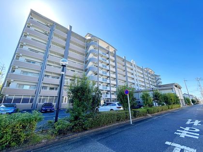 バンベール・ラフィネ道徳 外観