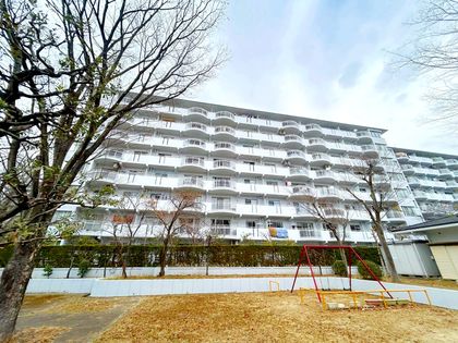 神宮東パークハイツ4号棟 外観