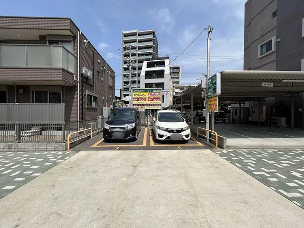 現地写真（南側から撮影）