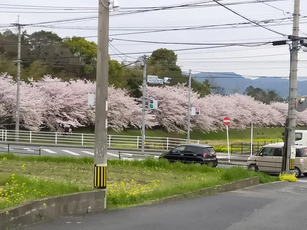 バルコニーからの眺望（春）