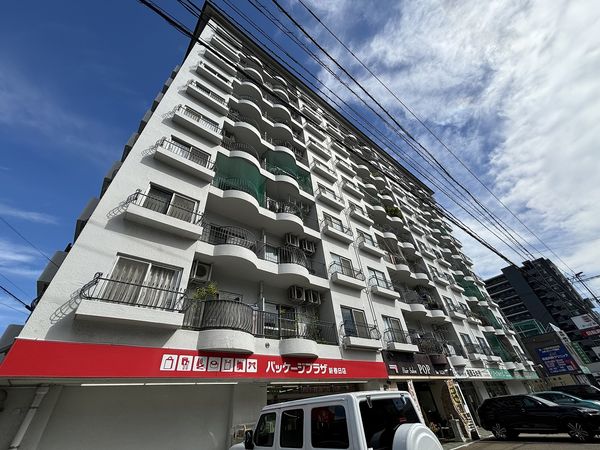 春日原ハイツ 駐車場 春日原ハイツ 駐車場