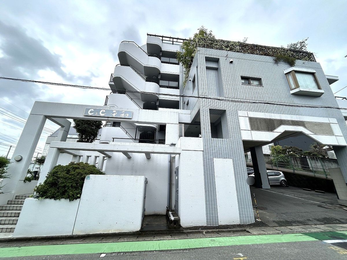 シー・アンド・シー平和 外観 外観