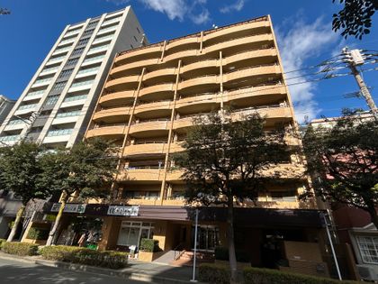 ダイアパレス平尾第3 外観