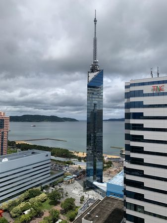 グランドメゾン百道浜オーシャン&フォレスト 眺望