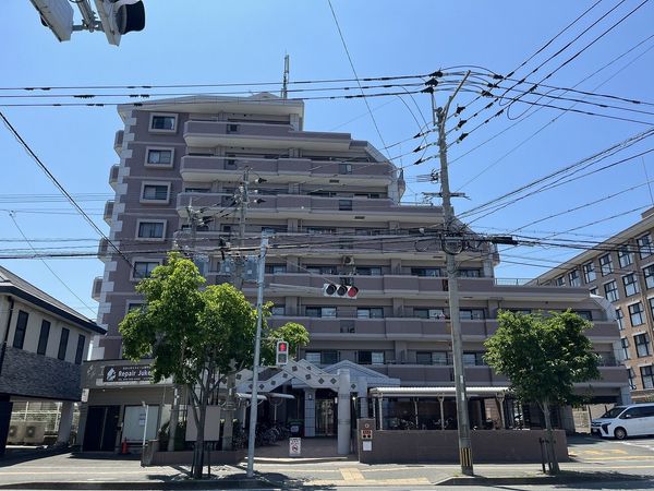 アムール大橋南 外観