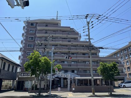 アムール大橋南 外観