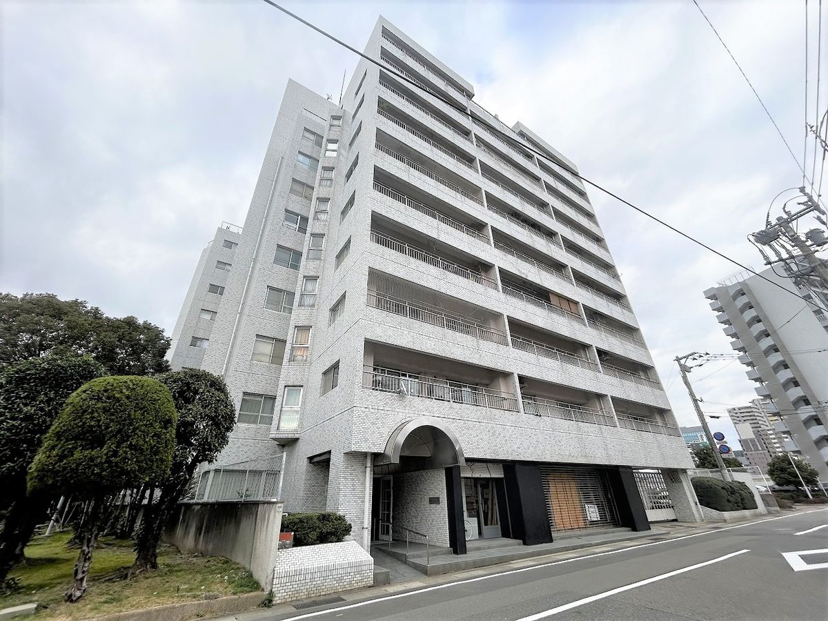 天神ロイヤルハイツ 外観 外観