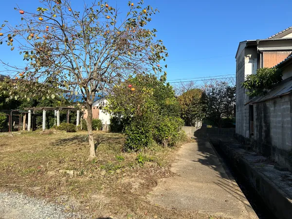 現地写真（西側）