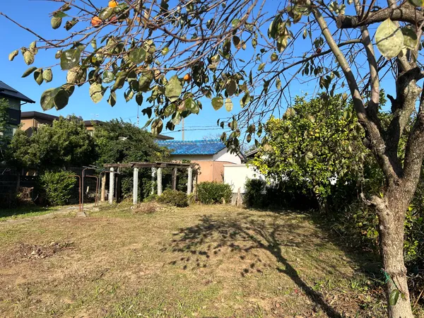 現地写真（西側）