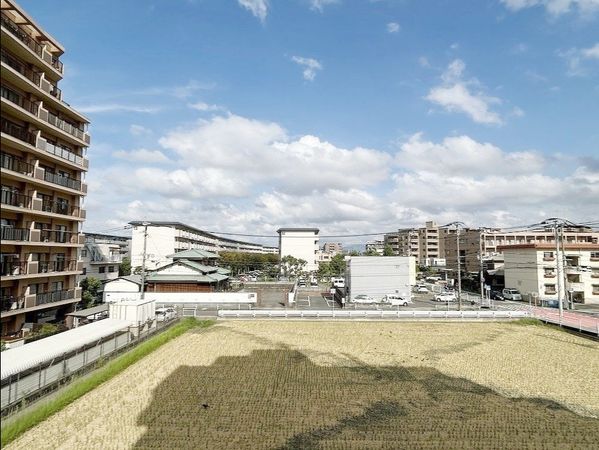 新栄アンピール新姪浜 眺望