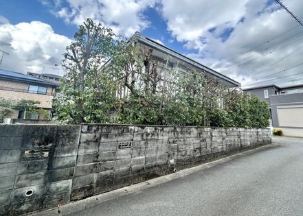 俗明院二丁目 土地 土地写真