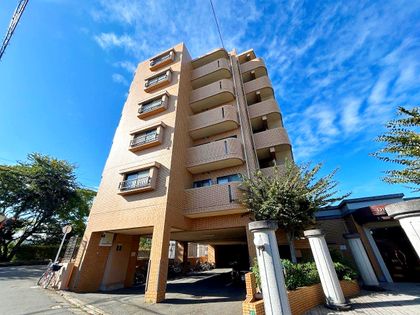 ダイアパレスレイクビュー井尻 外観