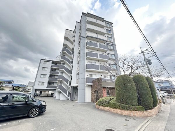 プレミアム板付 外観