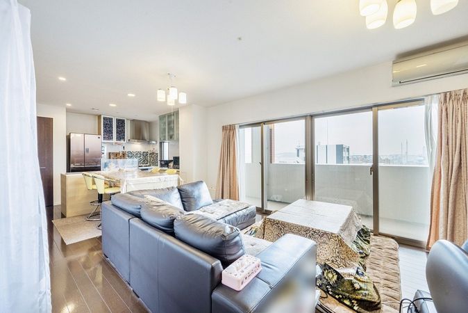 アンピール空港通りⅡ リビング