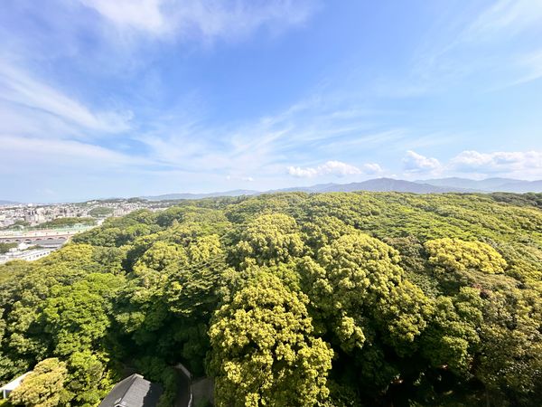 ザ・パークハウス桜坂サンリヤン 眺望 ザ・パークハウス桜坂サンリヤン 眺望
