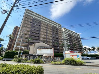 エバーライフパセオ博多南 センターコート 外観 エバーライフパセオ博多南 センターコート 外観