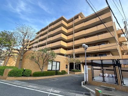 ダイアパレス大橋南 弐番館 外観