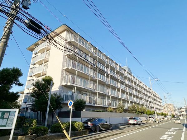 ローレルハイツ大橋 外観