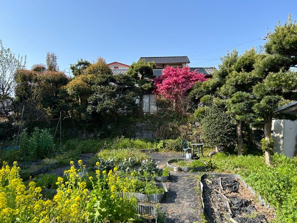 熊本市中央区京町1丁目 土地写真 熊本市中央区京町1丁目 土地写真