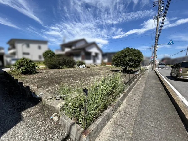 現地写真