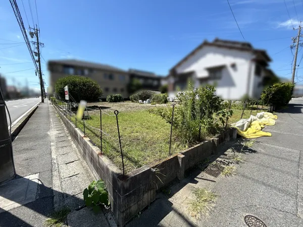 現地写真
