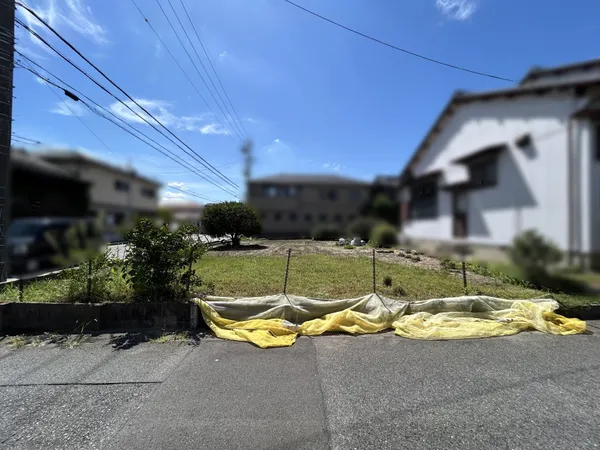 現地写真