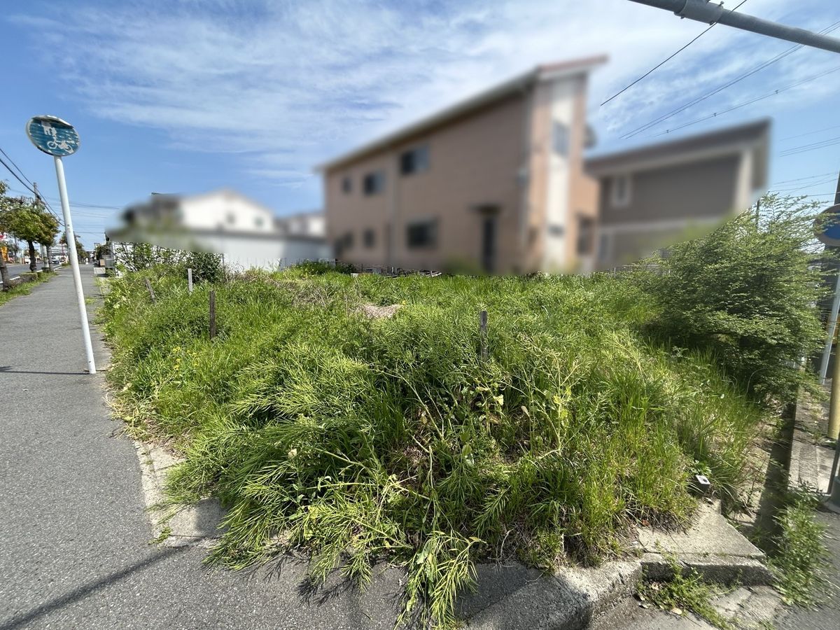 土地写真