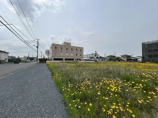土地写真