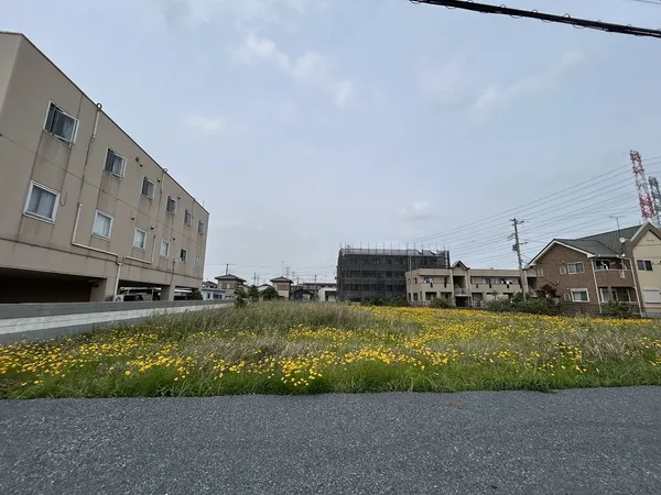 土地写真