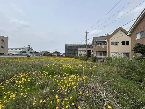 土地写真
