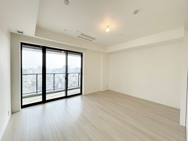 WORLD TOWER RESIDENCE 約11.7帖LD