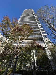 ザ・パークハウス大阪梅田タワー 庭