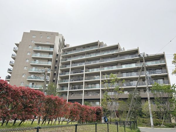 リビオシティ西葛西親水公園 外観