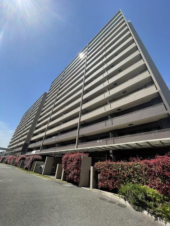 ジオ千里桃山台3番館 庭