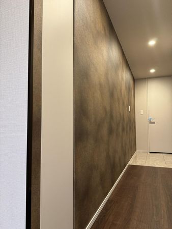 HARUMI FLAG SEA VILLAGE D棟 玄関廊下（アクセントクロス）