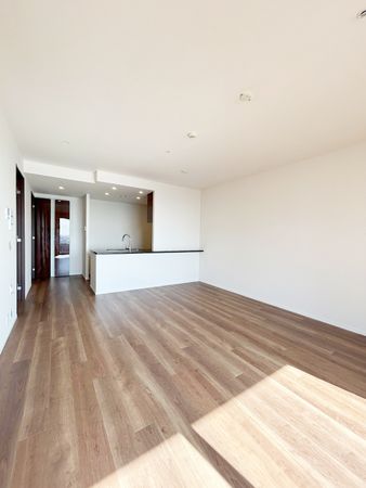 ザ・タワー横浜北仲 LD 約13.6帖