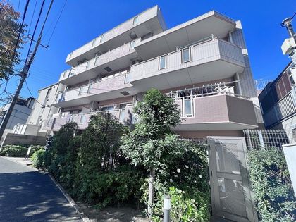 セザール デュオラック成増 マンション外観