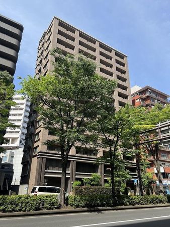 ナイス・エス・アリーナ川崎駅前通 庭