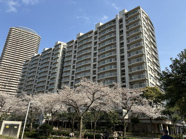 パークシティ新川崎E棟 2025年3月30日撮影