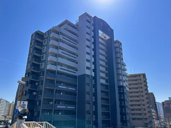 ダイアパレスグランデージ川崎多摩川リバーウイングス 外観