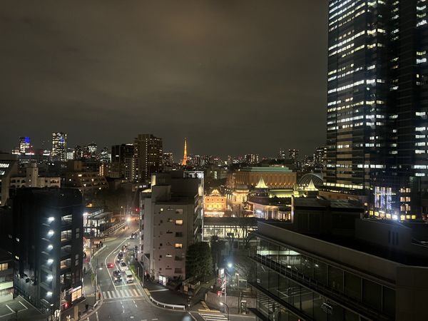 ザ・パークハウス恵比寿南 東京タワーを望むLD・バルコニー・洋室2ヶ所からの眺望