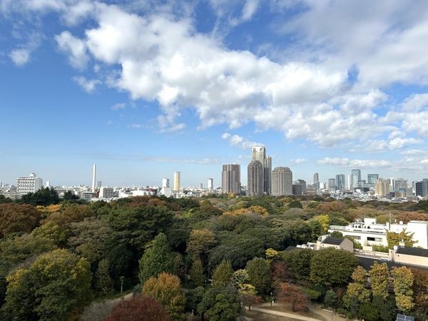 ジオグランデ白金台 眺望