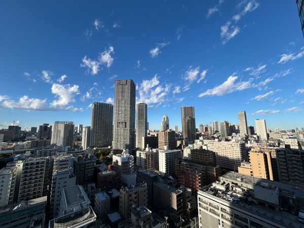 パークタワー勝どきミッド 眺望