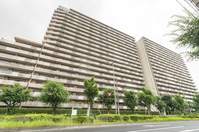 木場 ストア 公園 近郊 ペット 可能 分譲 マンション