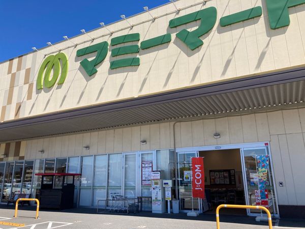 マミーマート流山セントラルパーク店（約770ｍ）