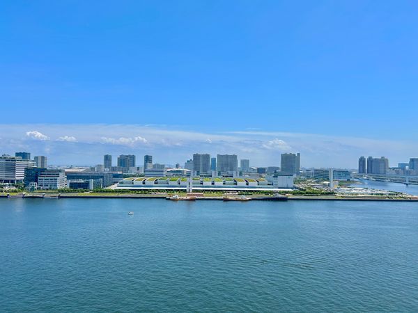 HARUMI FLAG SEA VILLAGE A棟 眺望 HARUMI FLAG SEA VILLAGE A棟 眺望