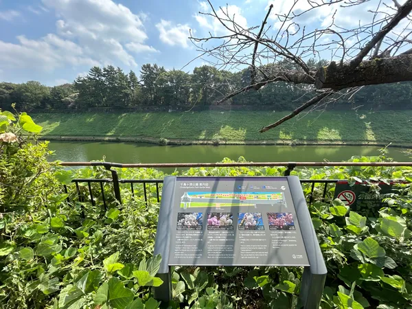 線鳥ヶ淵公園