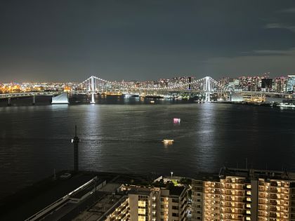 HARUMI FLAG PARK VILLAGE T棟 眺望